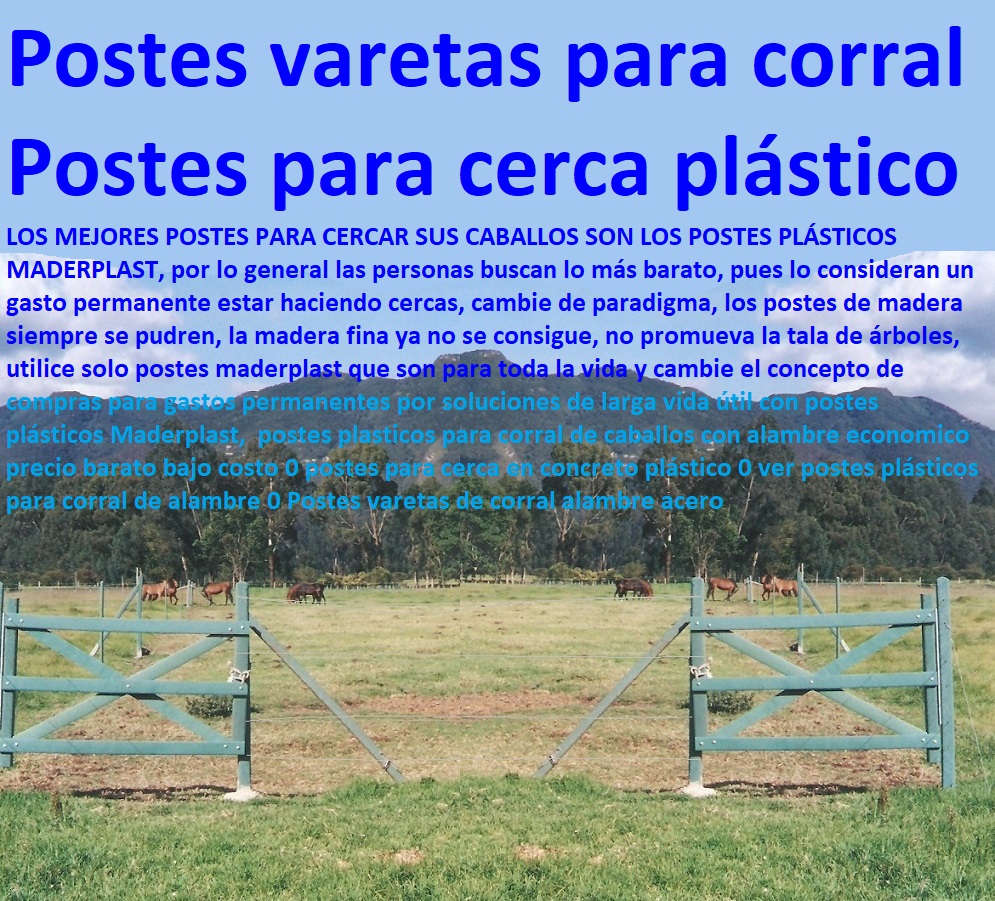 postes plasticos para corral de caballos con alambre economico precio barato bajo costo 0 postes para cerca en concreto plástico 0 ver postes plásticos para corral de alambre 0 Postes varetas de corral alambre acero postes plasticos para corral de caballos con alambre economico precio barato bajo costo 0 postes para cerca en concreto plástico 0 ver postes plásticos para corral de alambre 0 Postes varetas de corral alambre acero